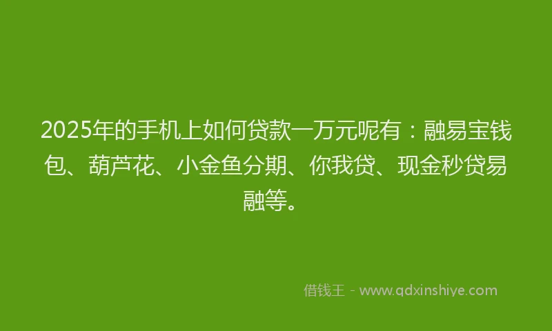 2025年的手机上如何贷款一万元呢有：融易宝钱包、葫芦花、小金鱼分期、你我贷、现金秒贷易融等。