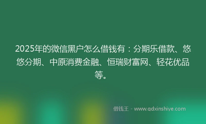 2025年的微信黑户怎么借钱有：分期乐借款、悠悠分期、中原消费金融、恒瑞财富网、轻花优品等。