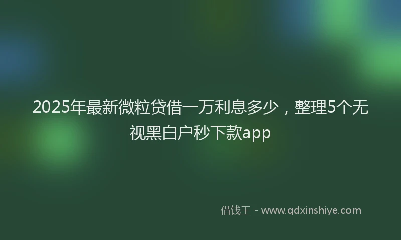 2025年最新微粒贷借一万利息多少，整理5个无视黑白户秒下款app
