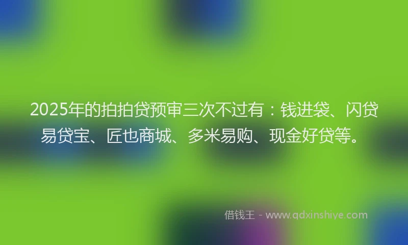 2025年的拍拍贷预审三次不过有：钱进袋、闪贷易贷宝、匠也商城、多米易购、现金好贷等。