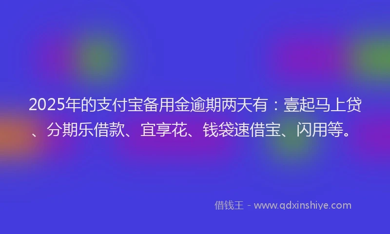 2025年的支付宝备用金逾期两天有：壹起马上贷、分期乐借款、宜享花、钱袋速借宝、闪用等。
