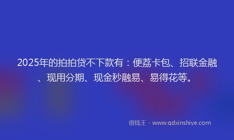 2025年的拍拍贷不下款有:便荔卡包、招联金融、现用分期、现金秒融易、易得花等。