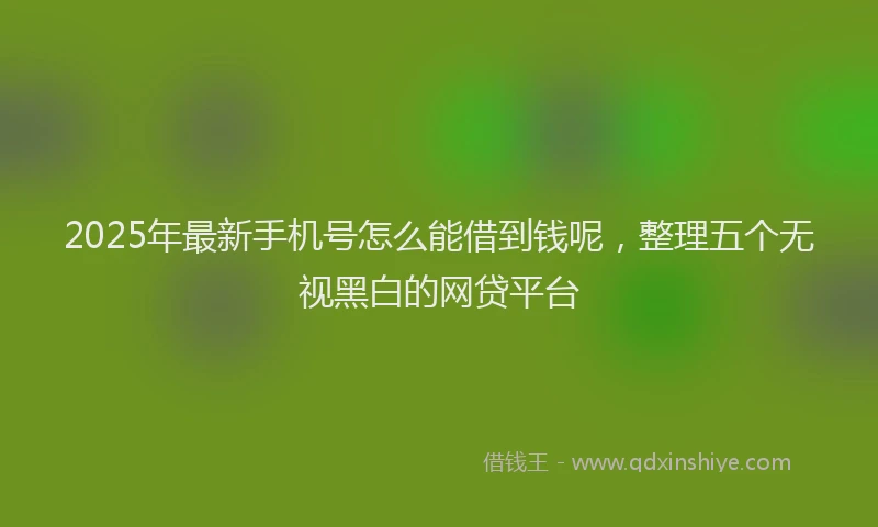 2025年最新手机号怎么能借到钱呢，整理五个无视黑白的网贷平台