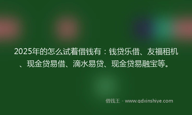 2025年的怎么试着借钱有：钱贷乐借、友福租机、现金贷易借、滴水易贷、现金贷易融宝等。