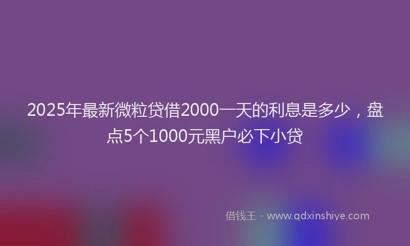 2025年最新微粒贷借2000一天的利息是多少，盘点5个1000元黑户必下小贷