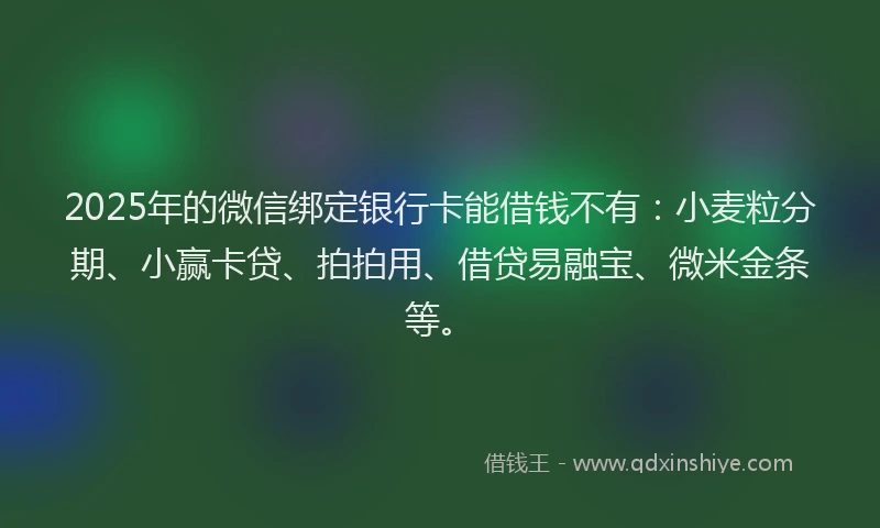 2025年的微信绑定银行卡能借钱不有：小麦粒分期、小赢卡贷、拍拍用、借贷易融宝、微米金条等。