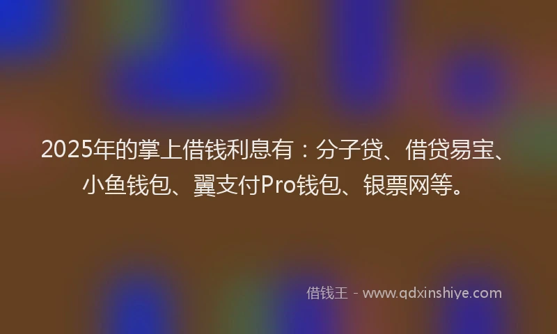2025年的掌上借钱利息有：分子贷、借贷易宝、小鱼钱包、翼支付Pro钱包、银票网等。