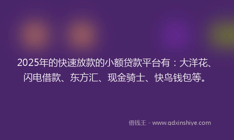 2025年的快速放款的小额贷款平台有：大洋花、闪电借款、东方汇、现金骑士、快鸟钱包等。
