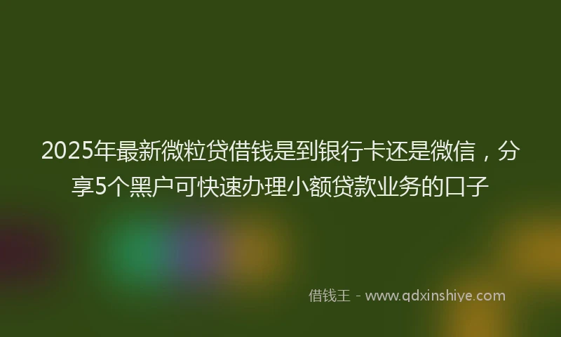 2025年最新微粒贷借钱是到银行卡还是微信，分享5个黑户可快速办理小额贷款业务的口子