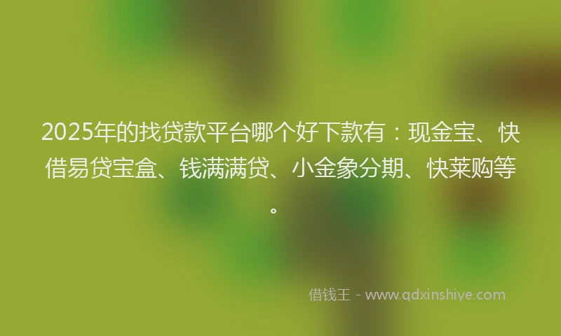 2025年的找贷款平台哪个好下款有：现金宝、快借易贷宝盒、钱满满贷、小金象分期、快莱购等。