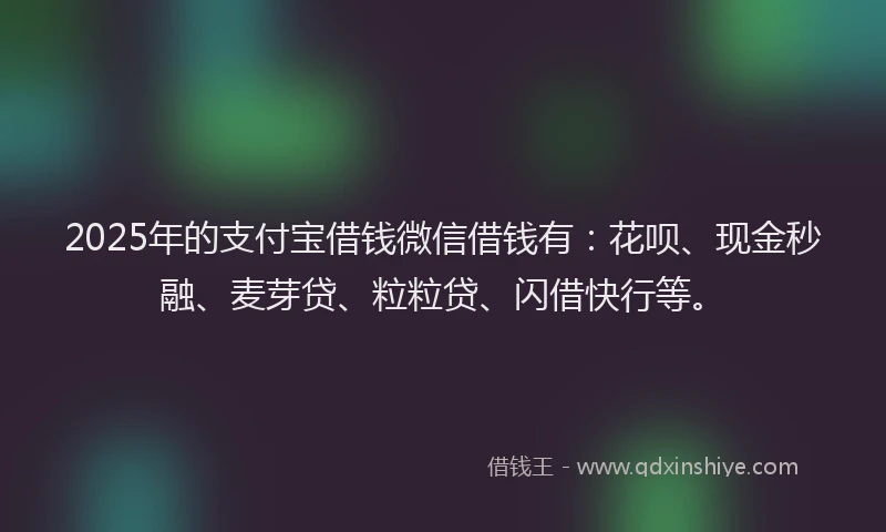 2025年的支付宝借钱微信借钱有:花呗、现金秒融、麦芽贷、粒粒贷、闪借快行等。