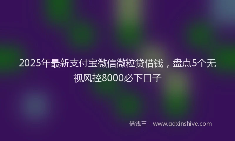 2025年最新支付宝微信微粒贷借钱，盘点5个无视风控8000必下口子