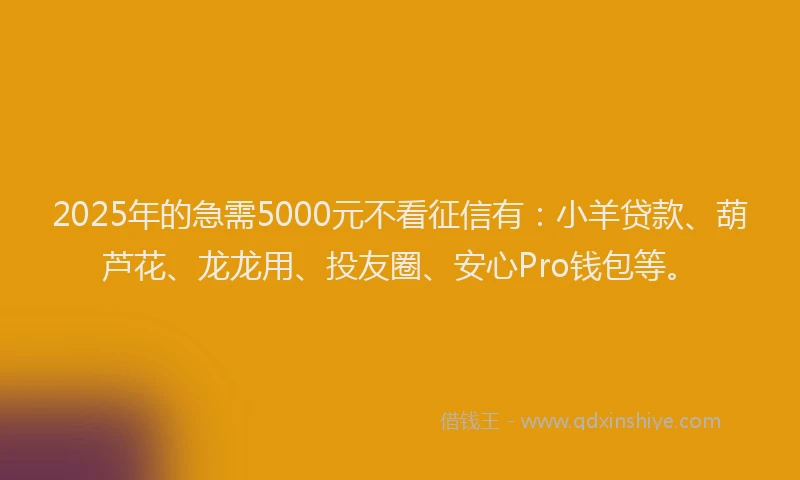 2025年的急需5000元不看征信有：小羊贷款、葫芦花、龙龙用、投友圈、安心Pro钱包等。