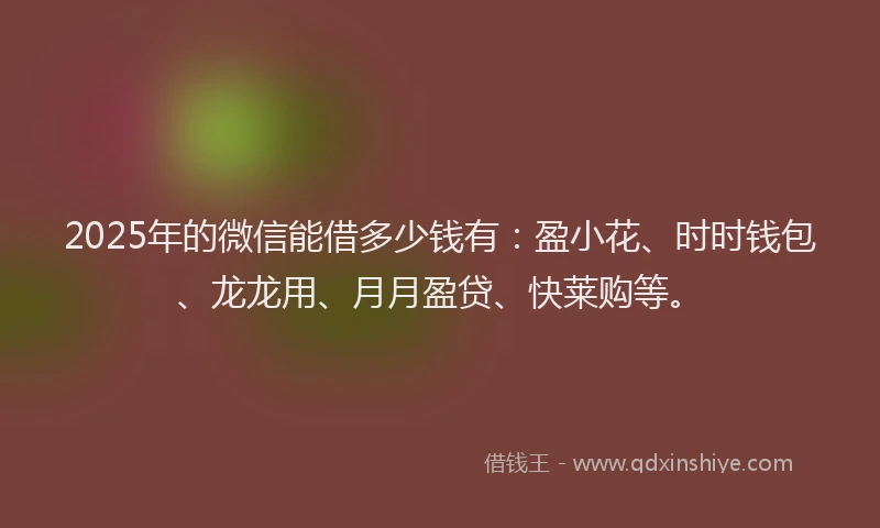 2025年的微信能借多少钱有：盈小花、时时钱包、龙龙用、月月盈贷、快莱购等。