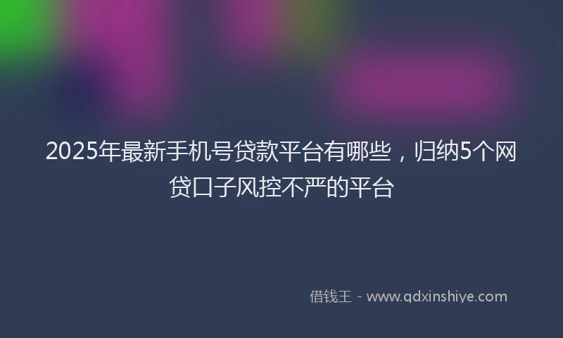 2025年最新手机号贷款平台有哪些，归纳5个网贷口子风控不严的平台