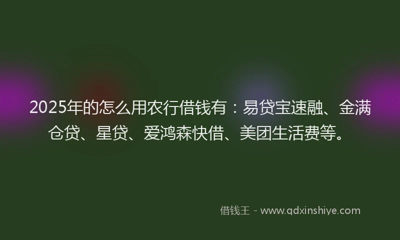 2025年的怎么用农行借钱有：易贷宝速融、金满仓贷、星贷、爱鸿森快借、美团生活费等。