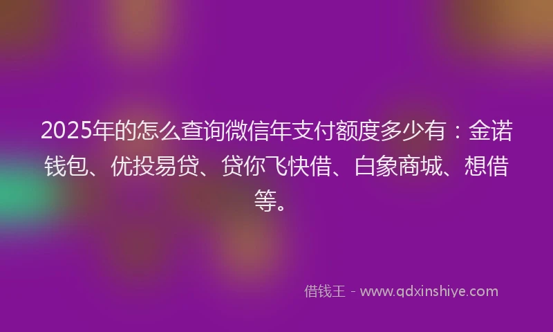 2025年的怎么查询微信年支付额度多少有：金诺钱包、优投易贷、贷你飞快借、白象商城、想借等。