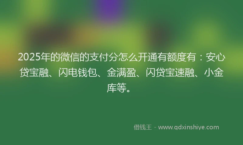 2025年的微信的支付分怎么开通有额度有：安心贷宝融、闪电钱包、金满盈、闪贷宝速融、小金库等。
