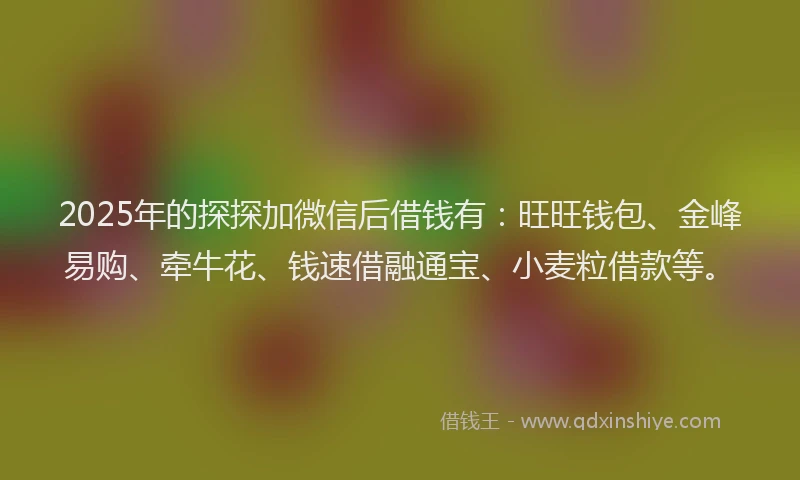 2025年的探探加微信后借钱有：旺旺钱包、金峰易购、牵牛花、钱速借融通宝、小麦粒借款等。