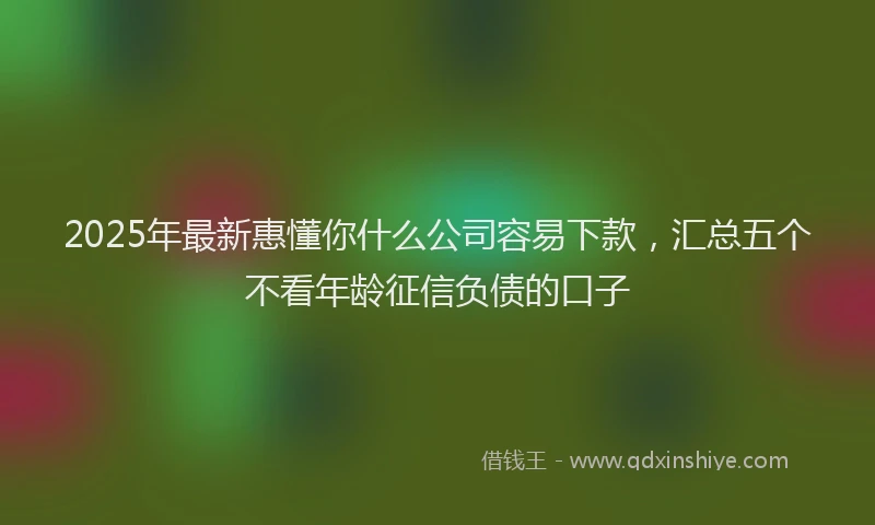 2025年最新惠懂你什么公司容易下款，汇总五个不看年龄征信负债的口子