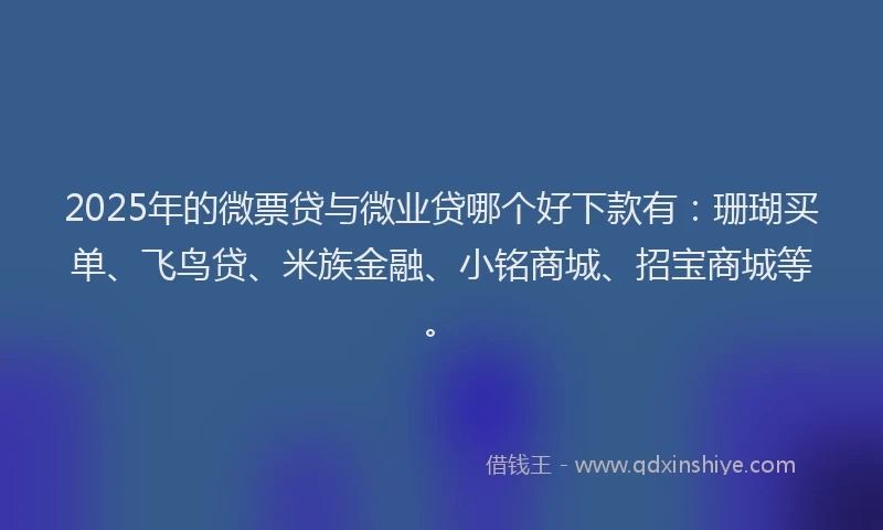 2025年的微票贷与微业贷哪个好下款有：珊瑚买单、飞鸟贷、米族金融、小铭商城、招宝商城等。