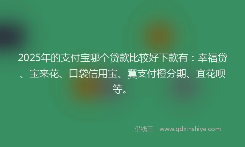 2025年的支付宝哪个贷款比较好下款有：幸福贷、宝来花、口袋信用宝、翼支付橙分期、宜花呗等。