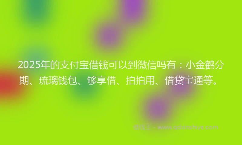 2025年的支付宝借钱可以到微信吗有：小金鹤分期、琉璃钱包、够享借、拍拍用、借贷宝通等。
