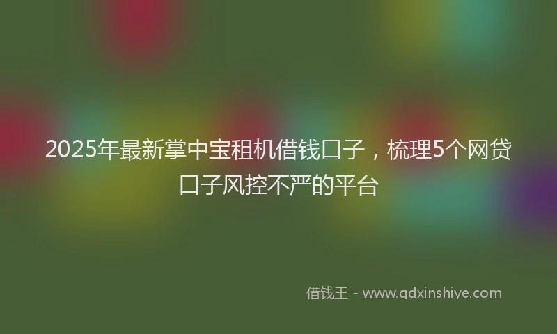 2025年最新掌中宝租机借钱口子，梳理5个网贷口子风控不严的平台