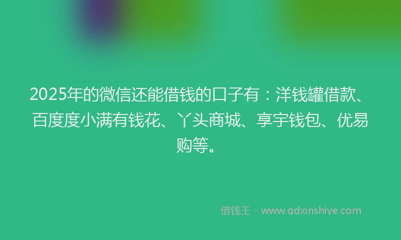 2025年的微信还能借钱的口子有：洋钱罐借款、百度度小满有钱花、丫头商城、享宇钱包、优易购等。
