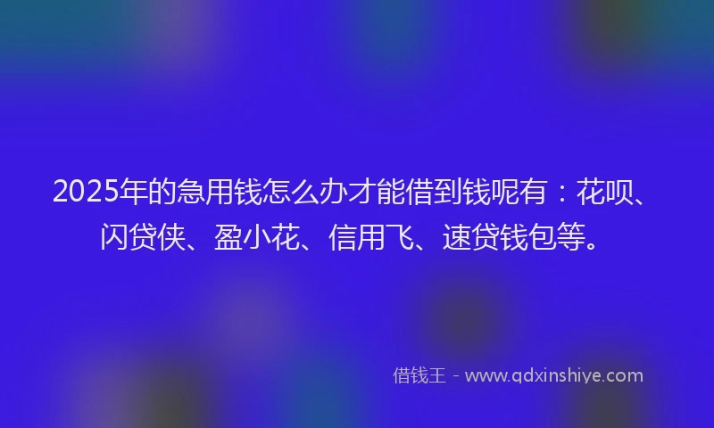 2025年的急用钱怎么办才能借到钱呢有：花呗、闪贷侠、盈小花、信用飞、速贷钱包等。