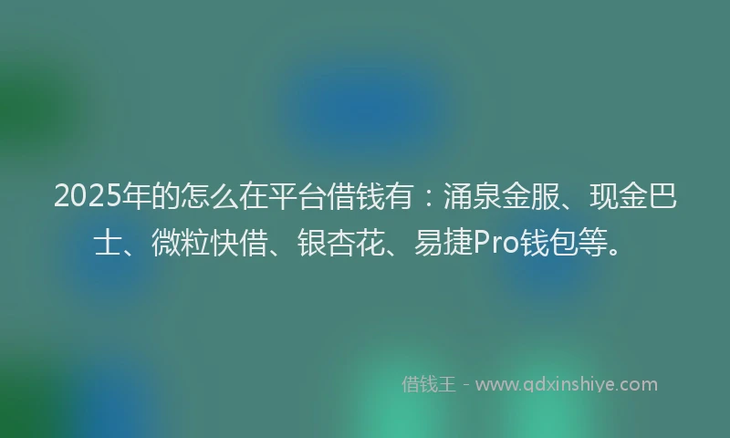 2025年的怎么在平台借钱有：涌泉金服、现金巴士、微粒快借、银杏花、易捷Pro钱包等。