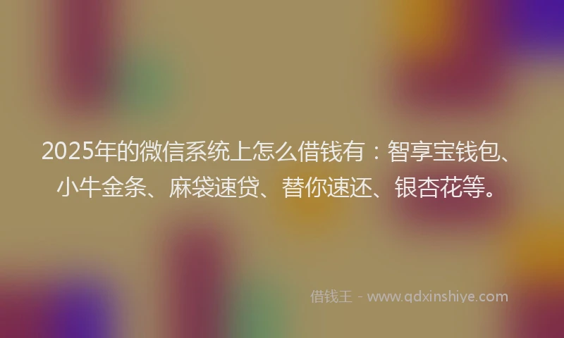 2025年的微信系统上怎么借钱有：智享宝钱包、小牛金条、麻袋速贷、替你速还、银杏花等。