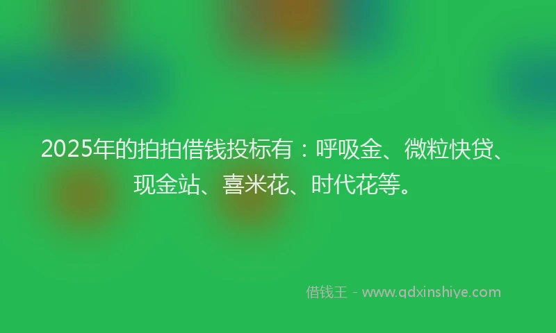 2025年的拍拍借钱投标有：呼吸金、微粒快贷、现金站、喜米花、时代花等。