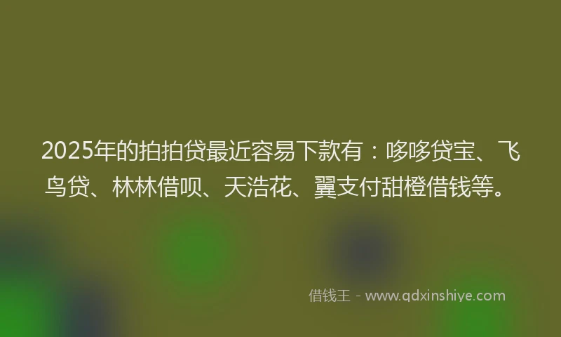 2025年的拍拍贷最近容易下款有：哆哆贷宝、飞鸟贷、林林借呗、天浩花、翼支付甜橙借钱等。