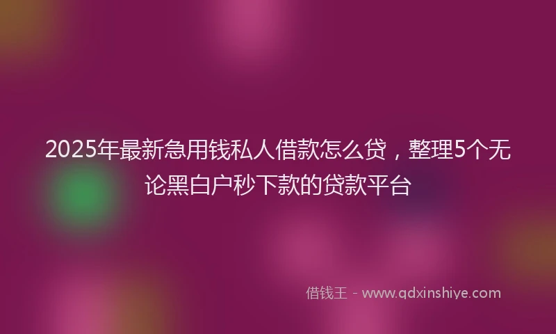 2025年最新急用钱私人借款怎么贷，整理5个无论黑白户秒下款的贷款平台