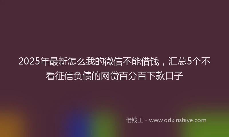 2025年最新怎么我的微信不能借钱，汇总5个不看征信负债的网贷百分百下款口子