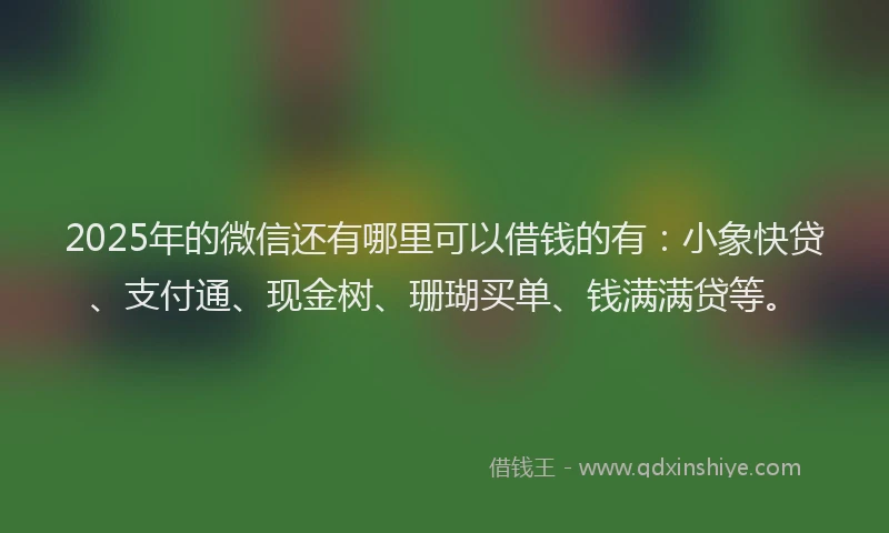 2025年的微信还有哪里可以借钱的有：小象快贷、支付通、现金树、珊瑚买单、钱满满贷等。