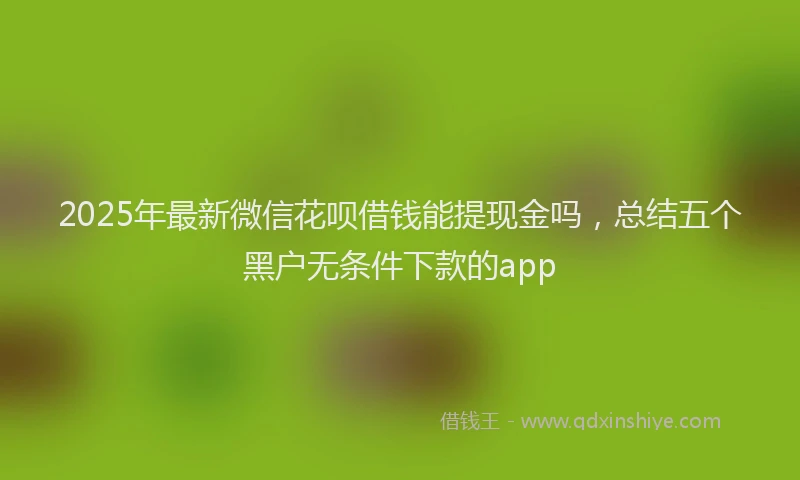 2025年最新微信花呗借钱能提现金吗，总结五个黑户无条件下款的app
