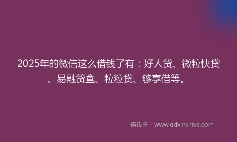 2025年的微信这么借钱了有：好人贷、微粒快贷、易融贷盒、粒粒贷、够享借等。