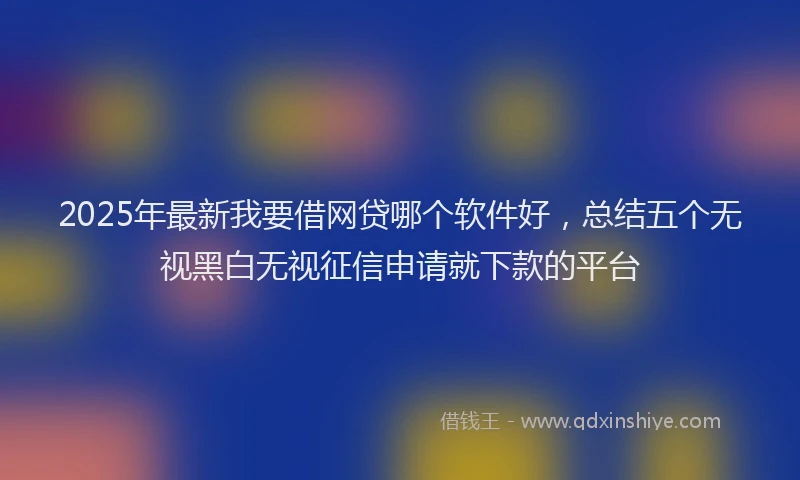 2025年最新我要借网贷哪个软件好，总结五个无视黑白无视征信申请就下款的平台
