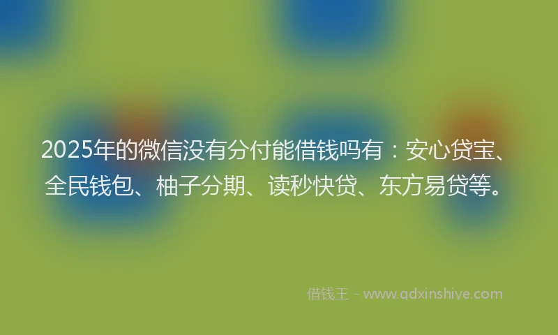 2025年的微信没有分付能借钱吗有：安心贷宝、全民钱包、柚子分期、读秒快贷、东方易贷等。