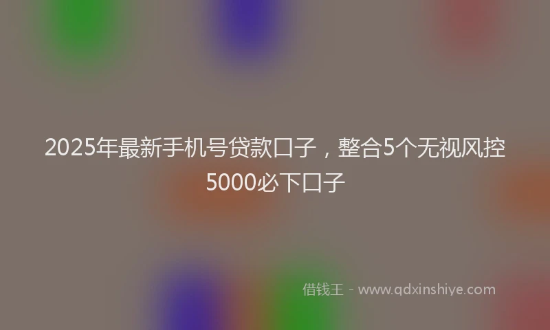 2025年最新手机号贷款口子，整合5个无视风控5000必下口子