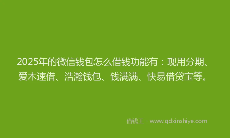 2025年的微信钱包怎么借钱功能有：现用分期、爱木速借、浩瀚钱包、钱满满、快易借贷宝等。