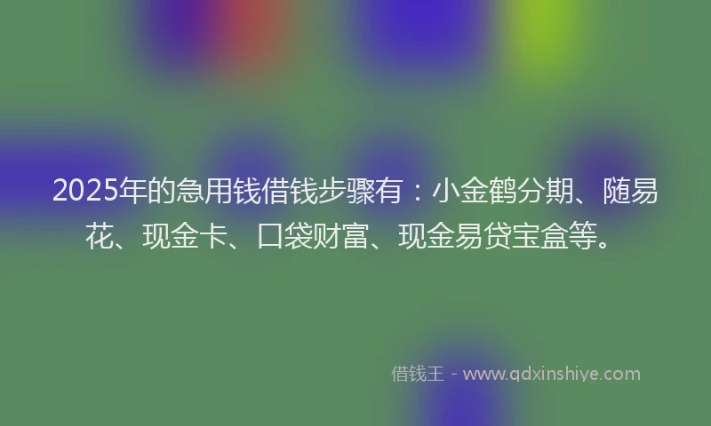2025年的急用钱借钱步骤有：小金鹤分期、随易花、现金卡、口袋财富、现金易贷宝盒等。