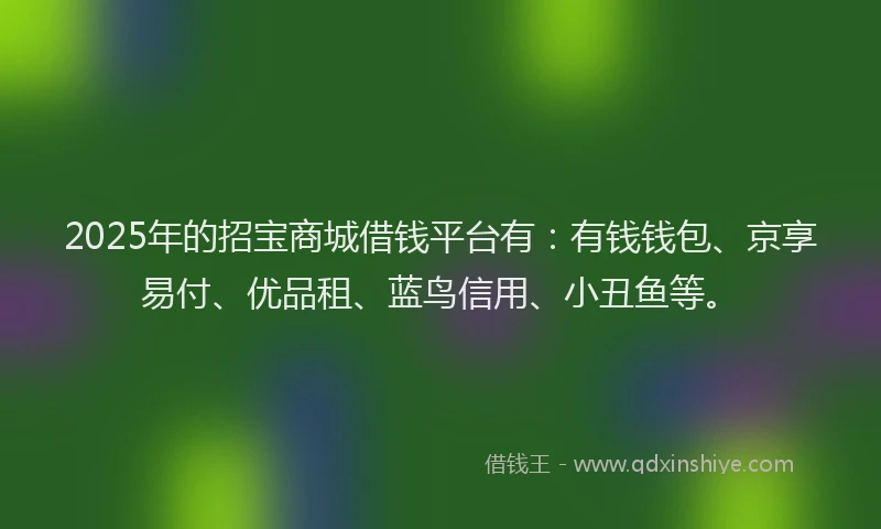 2025年的招宝商城借钱平台有：有钱钱包、京享易付、优品租、蓝鸟信用、小丑鱼等。