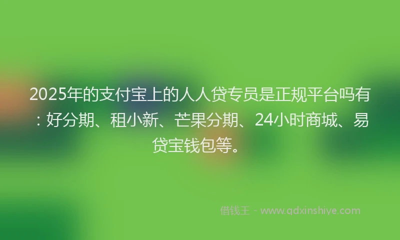 2025年的支付宝上的人人贷专员是正规平台吗有：好分期、租小新、芒果分期、24小时商城、易贷宝钱包等。