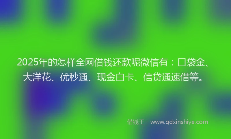 2025年的怎样全网借钱还款呢微信有：口袋金、大洋花、优秒通、现金白卡、信贷通速借等。