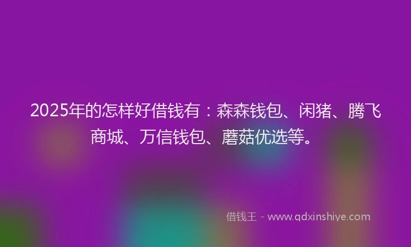 2025年的怎样好借钱有：森森钱包、闲猪、腾飞商城、万信钱包、蘑菇优选等。