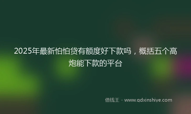 2025年最新怕怕贷有额度好下款吗，概括五个高炮能下款的平台
