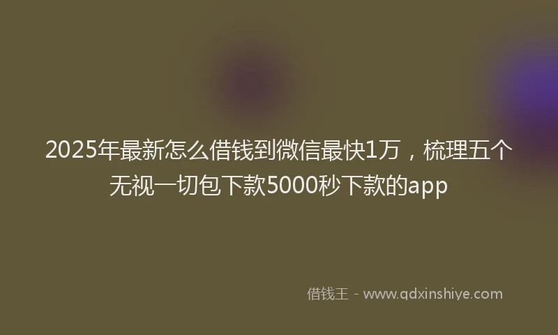 2025年最新怎么借钱到微信最快1万，梳理五个无视一切包下款5000秒下款的app